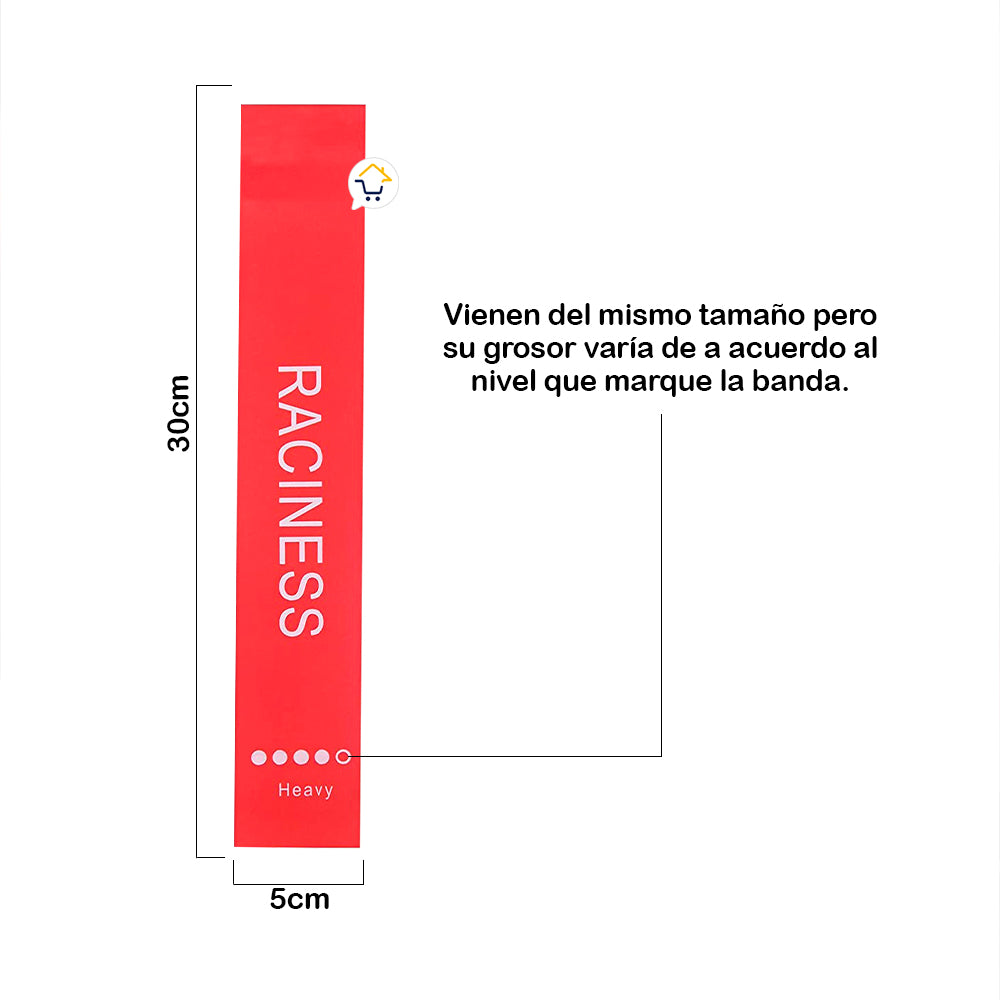 Kit Bandas Resistencia Elásticas Cerradas Ejercicio 5 Niveles GS5324